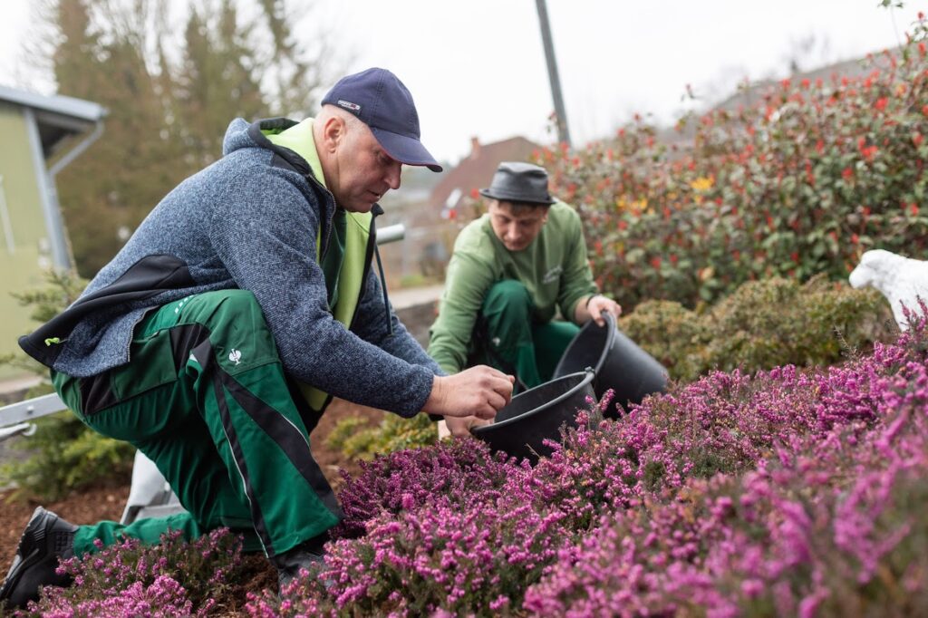 Zwei Mitarbeiter bei der Gartenarbeit
